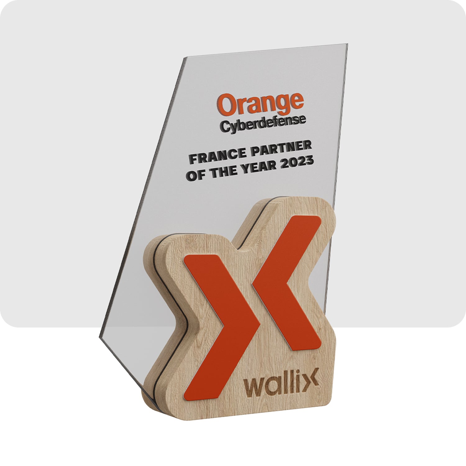 Bi-material Trophy - ORANGE CYBERDEFENSE