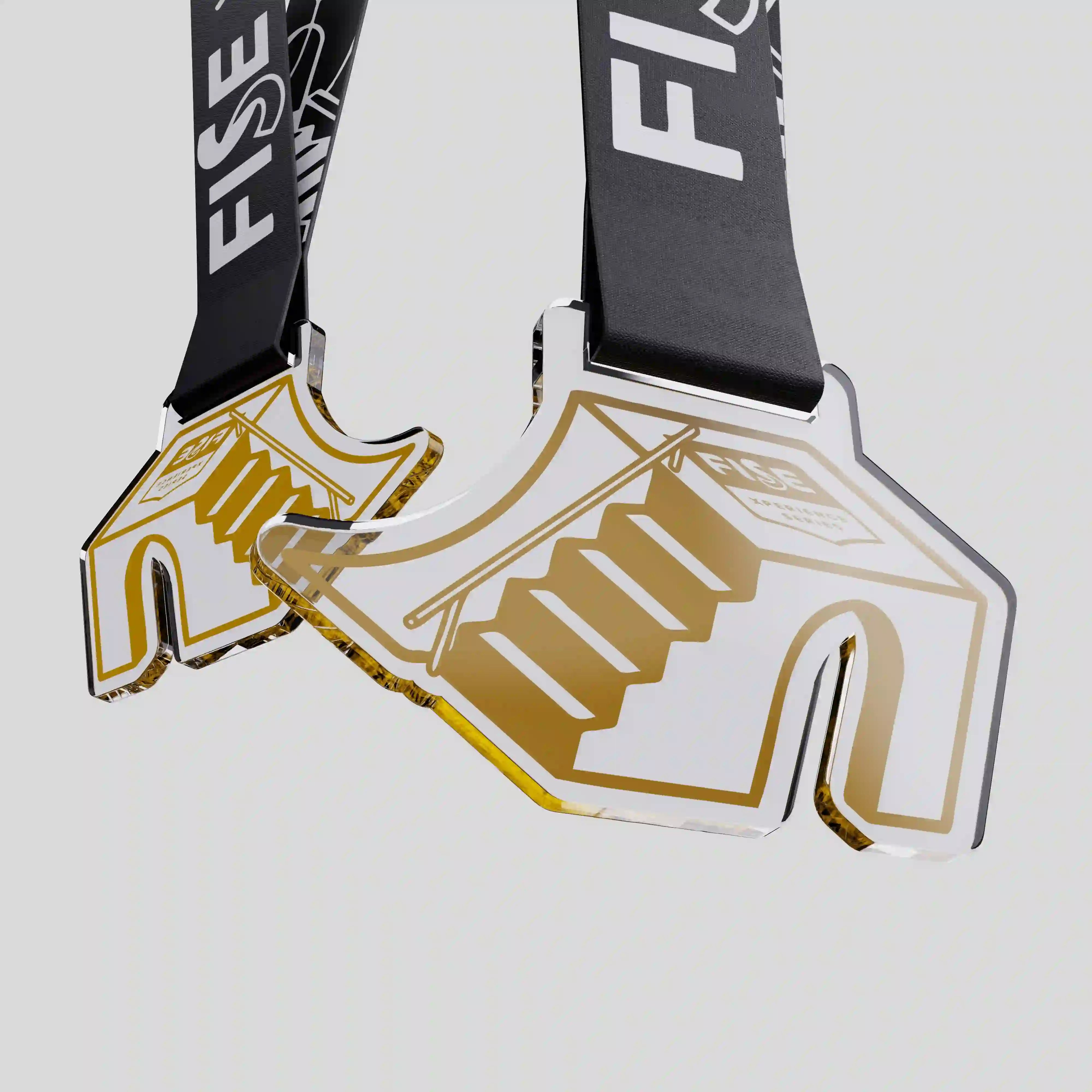 Close-up of the FISE acrylic medal showing its custom silhouette, gold print and transparent layered finish.