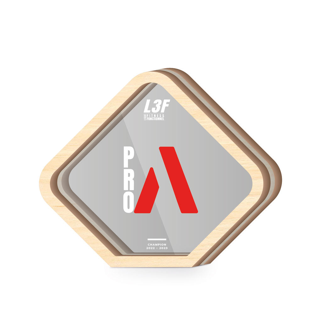 trophee-plexiglass-bois