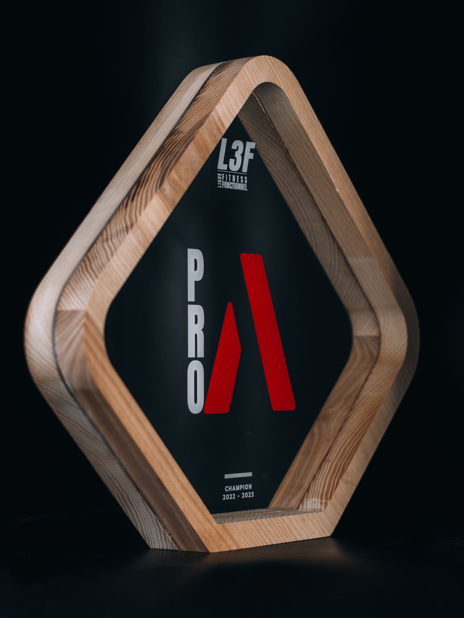 trophee-moderne